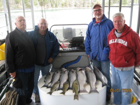 Nice Striped Bass